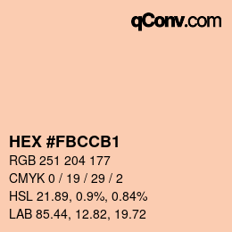 Color code: HEX #FBCCB1 | qconv.com
