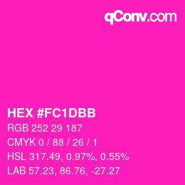 Color code: HEX #FC1DBB | qconv.com