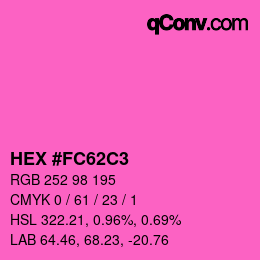 Color code: HEX #FC62C3 | qconv.com