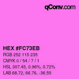Color code: HEX #FC73EB | qconv.com
