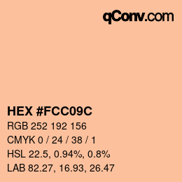 Color code: HEX #FCC09C | qconv.com