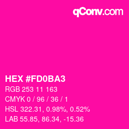 Color code: HEX #FD0BA3 | qconv.com