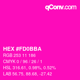 Color code: HEX #FD0BBA | qconv.com