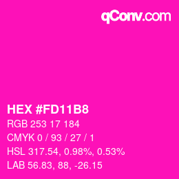 Color code: HEX #FD11B8 | qconv.com