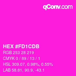 颜色代码: HEX #FD1CDB | qconv.com