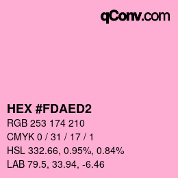 Color code: HEX #FDAED2 | qconv.com