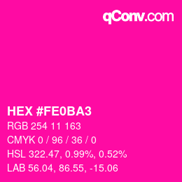カラーコード: HEX #FE0BA3 | qconv.com