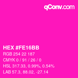 Color code: HEX #FE16BB | qconv.com