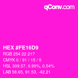 Color code: HEX #FE16D9 | qconv.com