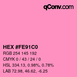 Color code: HEX #FE91C0 | qconv.com