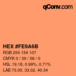 Color code: HEX #FE9A6B | qconv.com