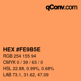 Color code: HEX #FE9B5E | qconv.com