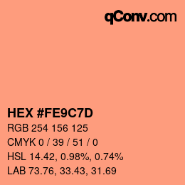 カラーコード: HEX #FE9C7D | qconv.com