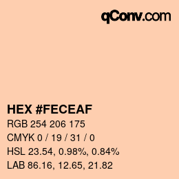 Color code: HEX #FECEAF | qconv.com