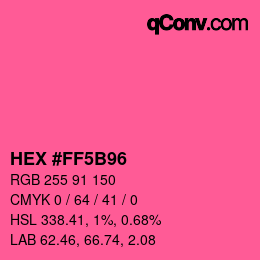 Color code: HEX #FF5B96 | qconv.com