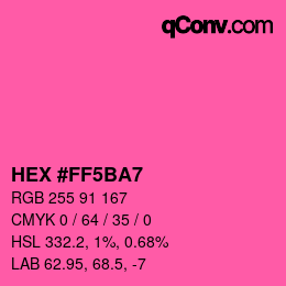 Color code: HEX #FF5BA7 | qconv.com