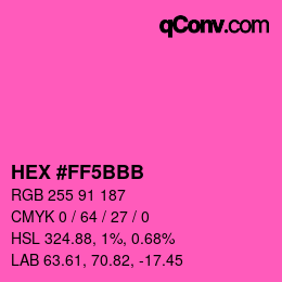 Color code: HEX #FF5BBB | qconv.com