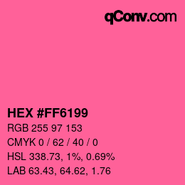 Color code: HEX #FF6199 | qconv.com