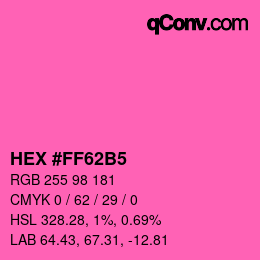 Color code: HEX #FF62B5 | qconv.com