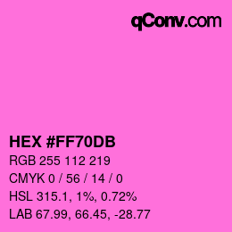 カラーコード: HEX #FF70DB | qconv.com