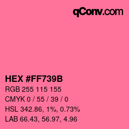 Color code: HEX #FF739B | qconv.com