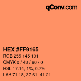 Color code: HEX #FF9165 | qconv.com