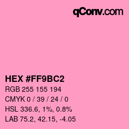 Color code: HEX #FF9BC2 | qconv.com