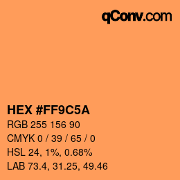 Color code: HEX #FF9C5A | qconv.com