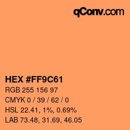 Color code: HEX #FF9C61 | qconv.com