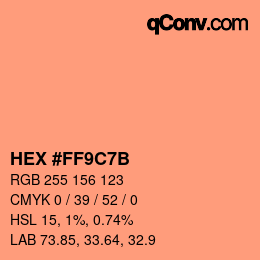 Color code: HEX #FF9C7B | qconv.com