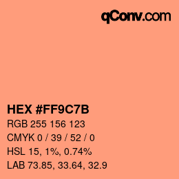 颜色代码: HEX #FF9C7B | qconv.com