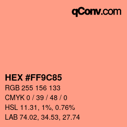 カラーコード: HEX #FF9C85 | qconv.com