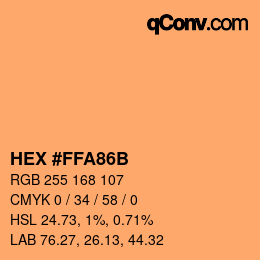 Color code: HEX #FFA86B | qconv.com