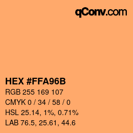 Color code: HEX #FFA96B | qconv.com