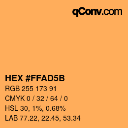 Color code: HEX #FFAD5B | qconv.com