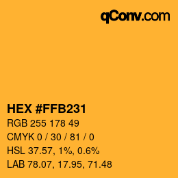 Color code: HEX #FFB231 | qconv.com