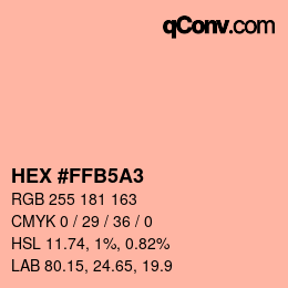 Color code: HEX #FFB5A3 | qconv.com