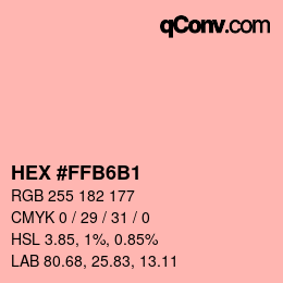 Color code: HEX #FFB6B1 | qconv.com