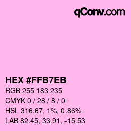 Color code: HEX #FFB7EB | qconv.com