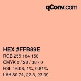 Color code: HEX #FFB89E | qconv.com