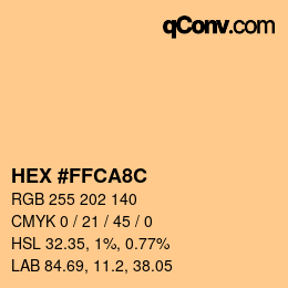 Color code: HEX #FFCA8C | qconv.com