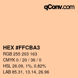 Color code: HEX #FFCBA3 | qconv.com