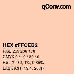 Color code: HEX #FFCEB2 | qconv.com