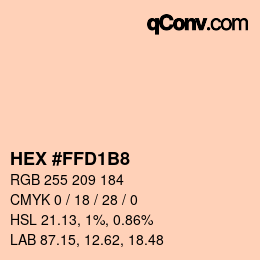 Color code: HEX #FFD1B8 | qconv.com