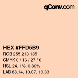 颜色代码: HEX #FFD5B9 | qconv.com