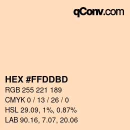 Color code: HEX #FFDDBD | qconv.com