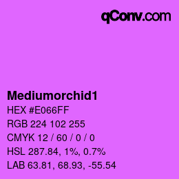 Nom de la couleur: Mediumorchid1 HEX #E066FF | qconv.com