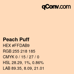 Nombre del color: Peach Puff HEX #FFDAB9 | qconv.com