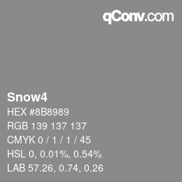 Nom de la couleur: Snow4 HEX #8B8989 | qconv.com