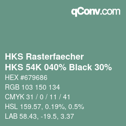 Code couleur: HKS Rasterfaecher - HKS 54K 040% Black 30% | qconv.com